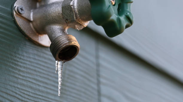 Best Water Leak Repair  in Elburn, IL